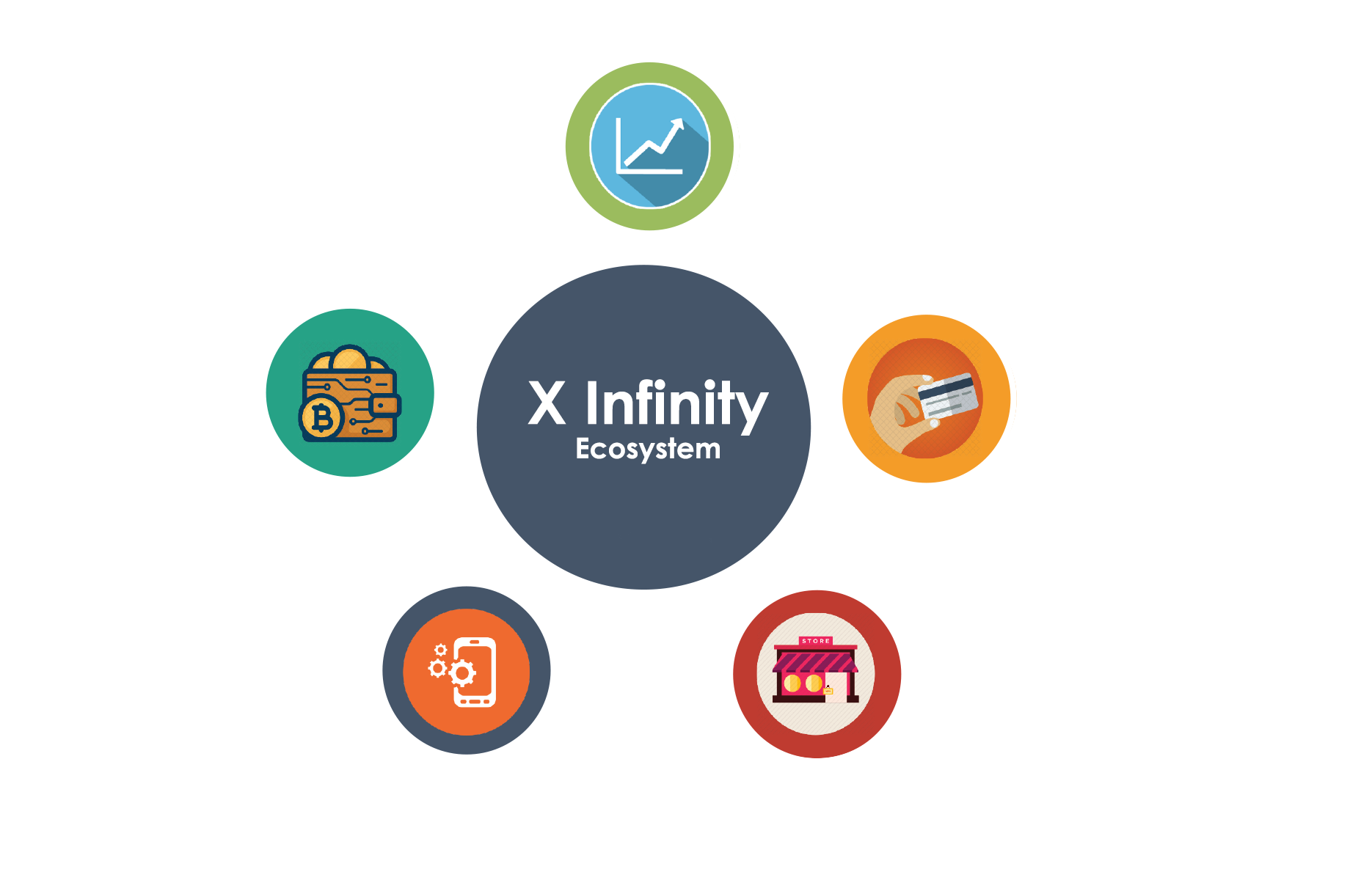 X Infinity Ecosystem X Infinity Ecosystem